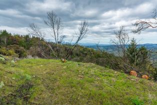 Residential Acreage,  Big Ridge road, Healdsburg, CA 95448 - 67