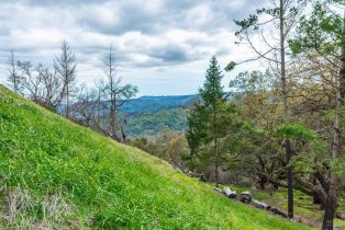 Residential Acreage,  Big Ridge road, Healdsburg, CA 95448 - 51