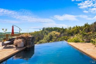 Residential Acreage,  Big Ridge road, Healdsburg, CA 95448 - 11