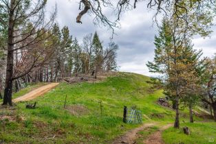 Residential Acreage,  Big Ridge road, Healdsburg, CA 95448 - 75