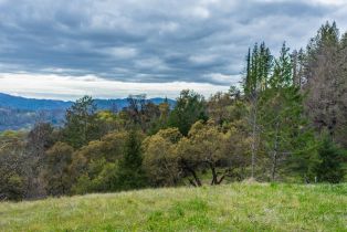 Residential Acreage,  Big Ridge road, Healdsburg, CA 95448 - 59