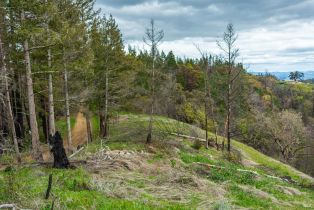 Residential Acreage,  Big Ridge road, Healdsburg, CA 95448 - 62