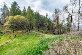 Residential Acreage,  Big Ridge road, Healdsburg, CA 95448 - 50