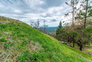 Residential Acreage,  Big Ridge road, Healdsburg, CA 95448 - 52