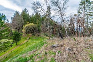 Residential Acreage,  Big Ridge road, Healdsburg, CA 95448 - 54