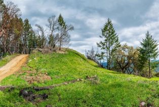 Residential Acreage,  Big Ridge road, Healdsburg, CA 95448 - 46