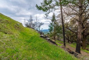Residential Acreage,  Big Ridge road, Healdsburg, CA 95448 - 70
