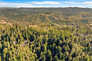 Residential Acreage,  Big Ridge road, Healdsburg, CA 95448 - 39
