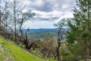 Residential Acreage,  Big Ridge road, Healdsburg, CA 95448 - 69
