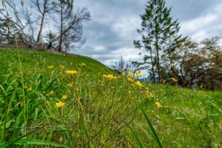 Residential Acreage,  Big Ridge road, Healdsburg, CA 95448 - 49