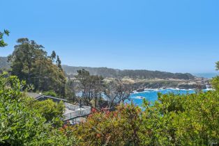 Single Family Residence,  Highway 1 none, Jenner, CA 95450 - 4