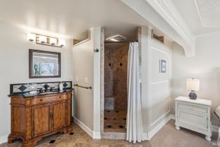 Single Family Residence,  Highway 1 none, Jenner, CA 95450 - 53
