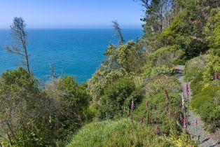 Single Family Residence,  Highway 1 none, Jenner, CA 95450 - 60