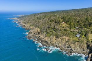 Single Family Residence,  Highway 1 none, Jenner, CA 95450 - 62