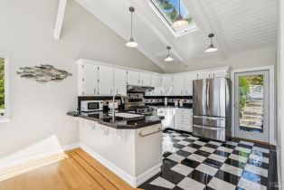 Single Family Residence,  Highway 1 none, Jenner, CA 95450 - 22