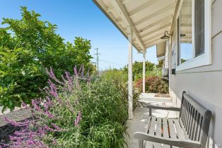 Single Family Residence, Marian way, Petaluma, CA 94954 - 6