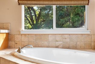 Single Family Residence, Zinfandel court, Cloverdale, CA 95425 - 17