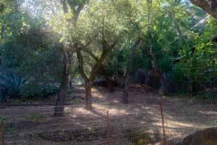 Single Family Residence, Park avenue, Sonoma, CA 95476 - 47