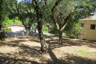 Single Family Residence, Park avenue, Sonoma, CA 95476 - 45