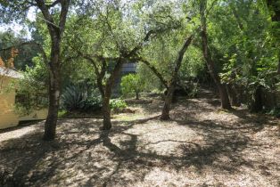 Single Family Residence, Park avenue, Sonoma, CA 95476 - 7