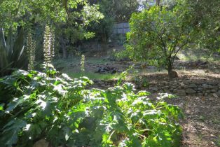 Single Family Residence, Park avenue, Sonoma, CA 95476 - 43