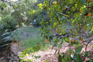Single Family Residence, Park avenue, Sonoma, CA 95476 - 44