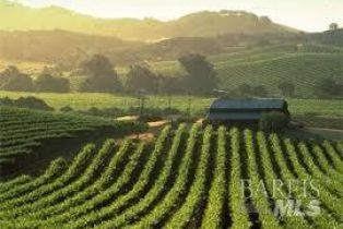 Single Family Residence, Park avenue, Sonoma, CA 95476 - 54