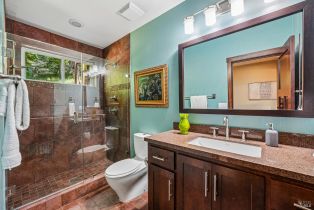 Single Family Residence, Ellen lane, Russian River, CA 95436 - 17