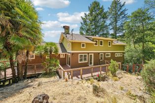 Single Family Residence, Ellen lane, Russian River, CA 95436 - 41