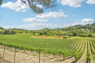 Single Family Residence, Ellen lane, Russian River, CA 95436 - 46