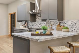 Single Family Residence, Cuneo court, Russian River, CA 95401 - 15