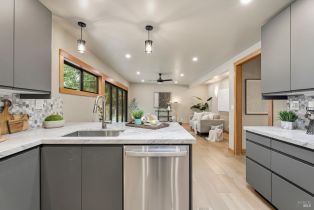 Single Family Residence, Cuneo court, Russian River, CA 95401 - 13