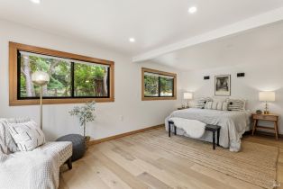 Single Family Residence, Cuneo court, Russian River, CA 95401 - 29