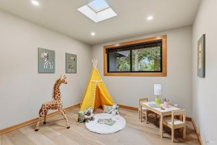 Single Family Residence, Cuneo court, Russian River, CA 95401 - 28