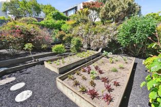 Single Family Residence, 324 Holyoke St st, District 8 - Northeast, CA 94134 - 20