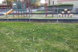 Condominium, 440 Dempsey rd, Milpitas, CA 95035 - 33