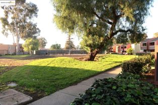 Condominium, 440 Dempsey rd, Milpitas, CA 95035 - 39