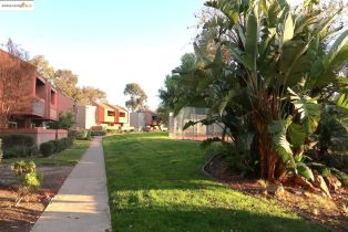 Condominium, 440 Dempsey rd, Milpitas, CA 95035 - 47