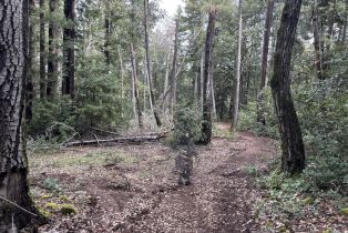 , 0 Croy rd, Morgan Hill, CA 95037 - 10