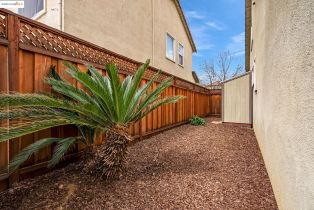 Single Family Residence, 904 INDEPENDENCE STREET st, Brentwood, CA 94513 - 42