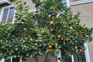 Single Family Residence, 370 Dante Ct ct, Brentwood, CA 94513 - 44