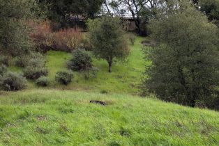 , 22346 Regnart rd, Cupertino, CA 95014 - 15