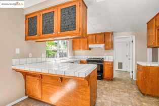 Single Family Residence, 630 Heather Pl pl, Brentwood, CA 94513 - 9