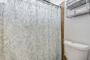 Single Family Residence, 555 Birchwood Rd rd, Brentwood, CA 94513 - 45