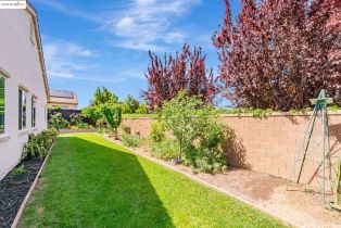 Single Family Residence, 141 French Dr dr, Brentwood, CA 94513 - 54