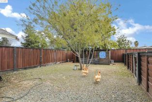 Single Family Residence, 4828 Sellers ave, Brentwood, CA 94513 - 46