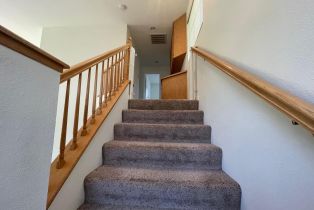 , 538 Apple Hill Dr dr, Brentwood, CA 94513 - 21