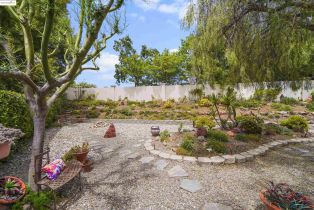 Single Family Residence, 699 Stewart way, Brentwood, CA 94513 - 39