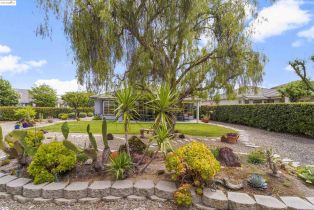 Single Family Residence, 699 Stewart way, Brentwood, CA 94513 - 42