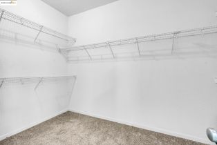 , 1361 Tiffany dr, Brentwood, CA 94513 - 8